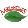 MISS ANTILLES